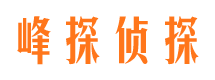 赵县市调查公司